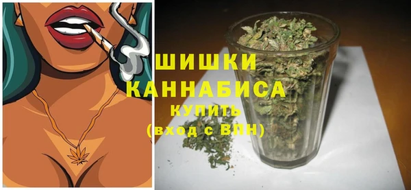 apvp Гусиноозёрск