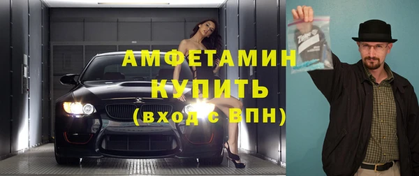 ПСИЛОЦИБИНОВЫЕ ГРИБЫ Гусев