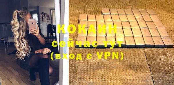 ПСИЛОЦИБИНОВЫЕ ГРИБЫ Гусев