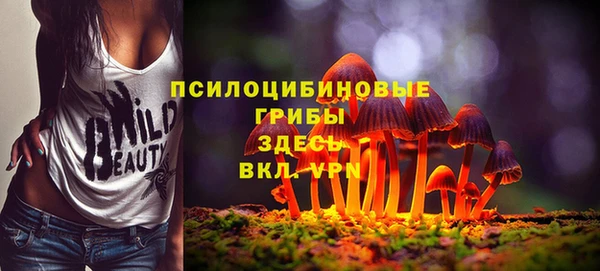 мефедрон мука Гусь-Хрустальный
