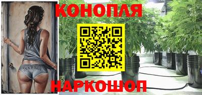 стафф Заволжье