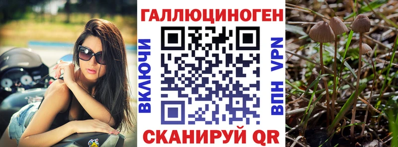 Галлюциногенные грибы мицелий  как найти   гидра ССЫЛКА  Острогожск 