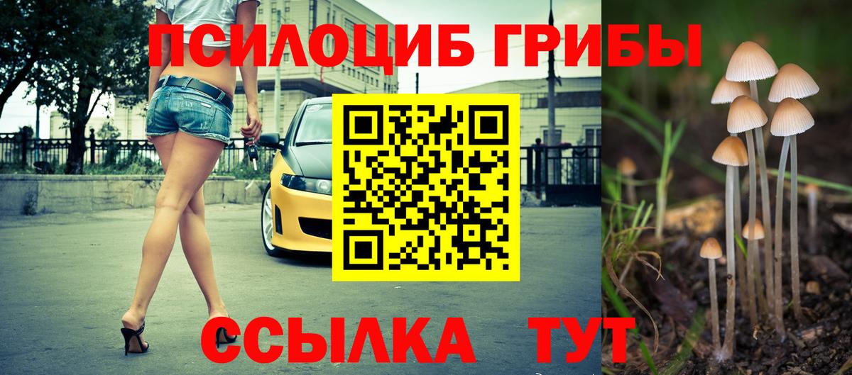 Острогожск  Псилоцибиновые грибы Magic Shrooms  Вход с VPN  Псилоцибиновые грибы Psilocybine cubensis 