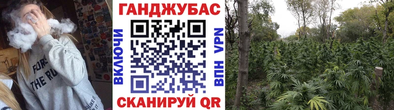 купить  цена  Острогожск  МАРИХУАНА индика 