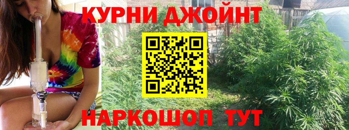 Шишки марихуана White Widow  Острогожск  Бошки марихуана гибрид  Каннабис марихуана 